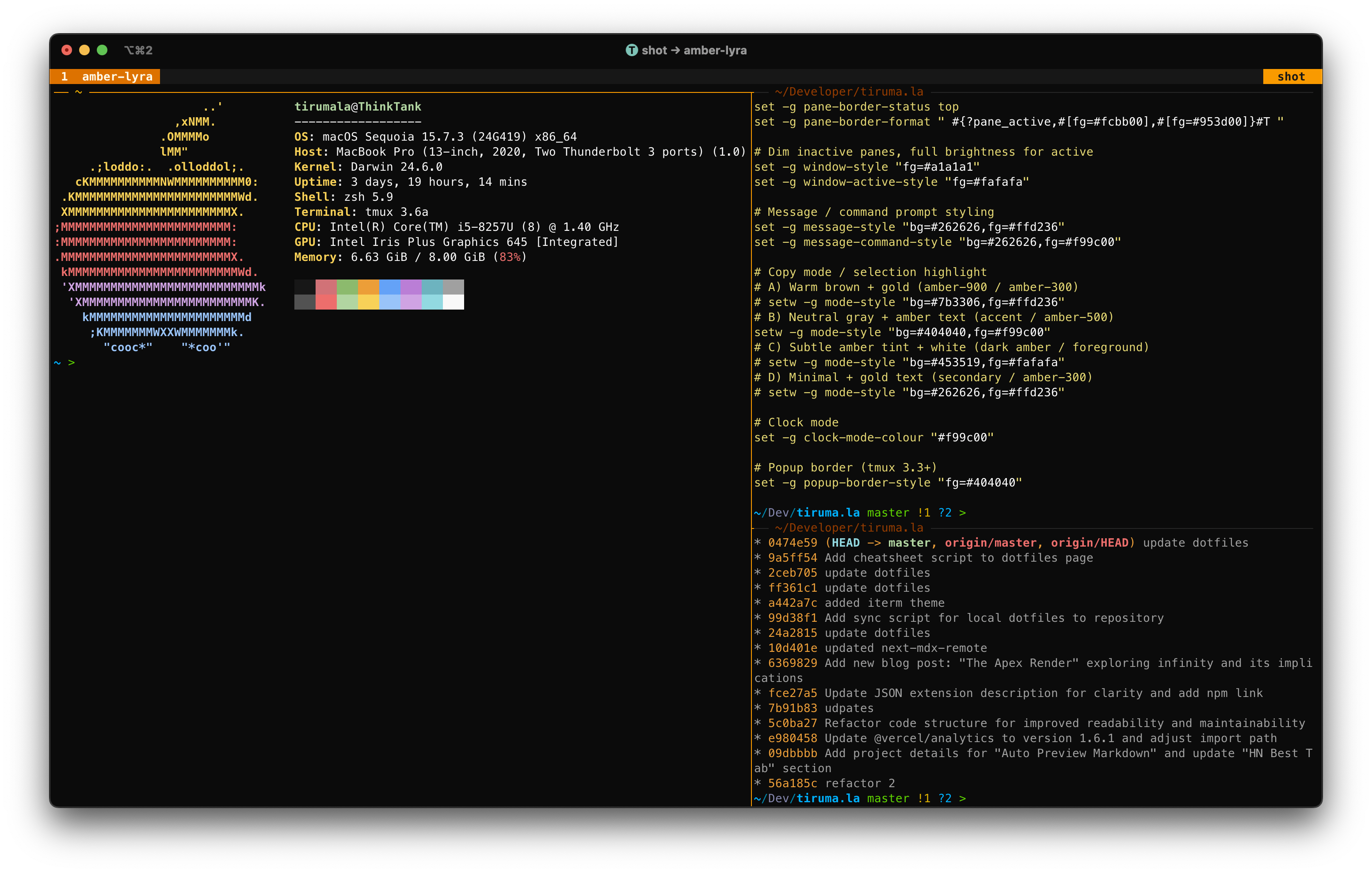 Amber-Lyra terminal theme showing fastfetch, tmux amber status bar, and pane layout